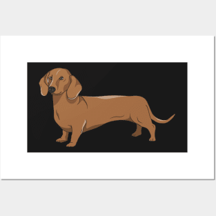 miniature dachshund Posters and Art